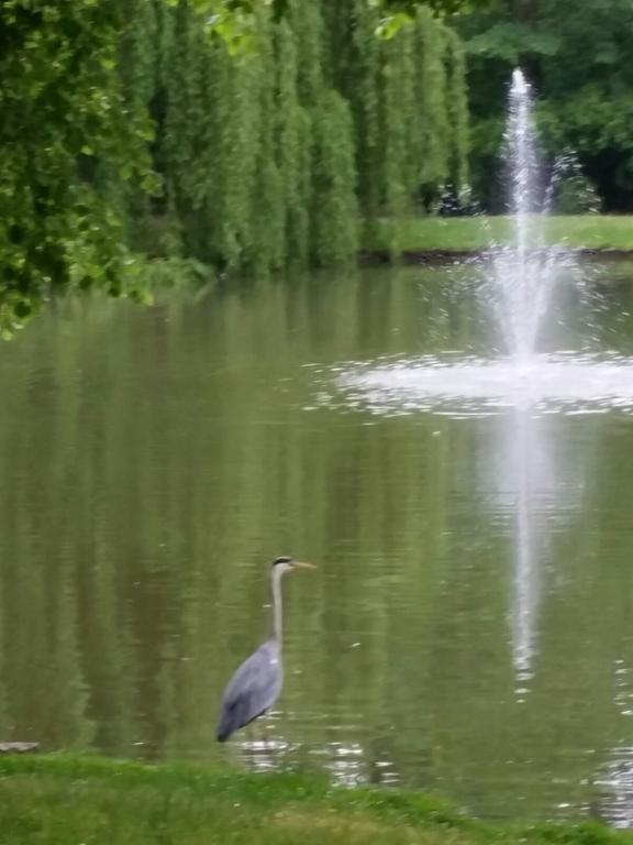 Traumparadies Bad Sulza Buitenkant foto